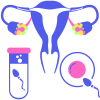 IVF PNG Image (2)
