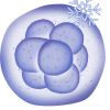IVF PNG Image (4)